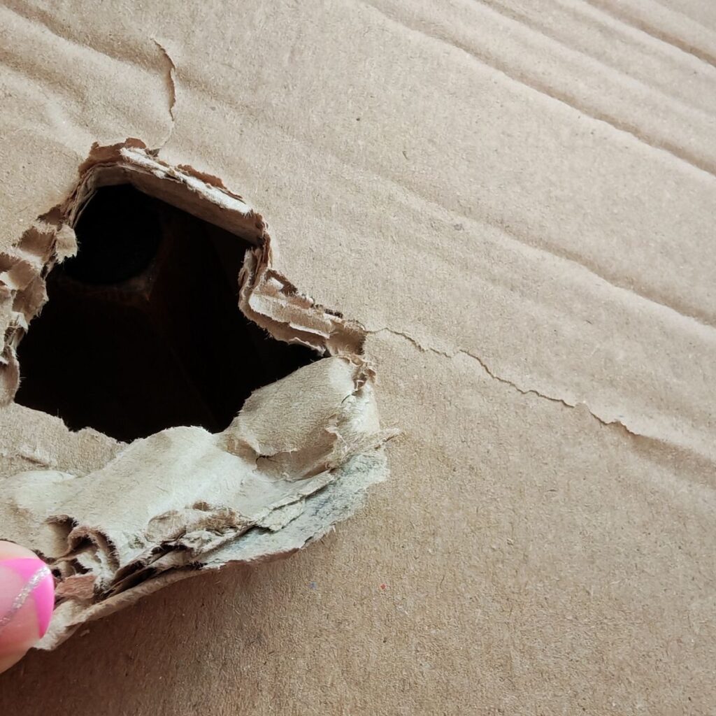 Image #2 from Anonymný